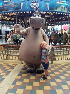 Carousal - Fox Travel 