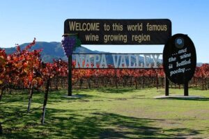 Travel Tours - Napa