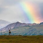 A rainbow over a mountain range with a person standing in front of it.