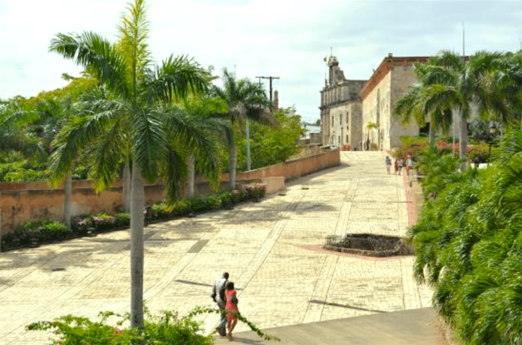 A man is walking down a street near palm trees at Excellence Resort Punta Cana.