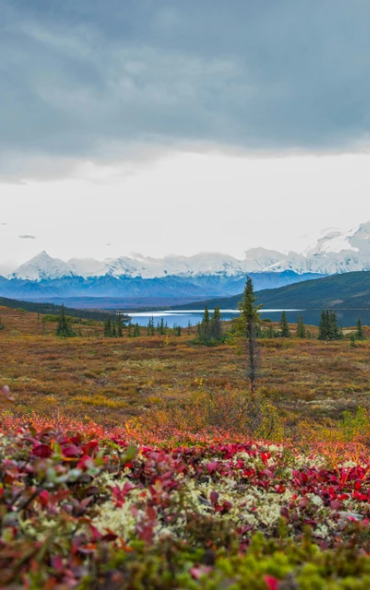 Alaska-wilderness