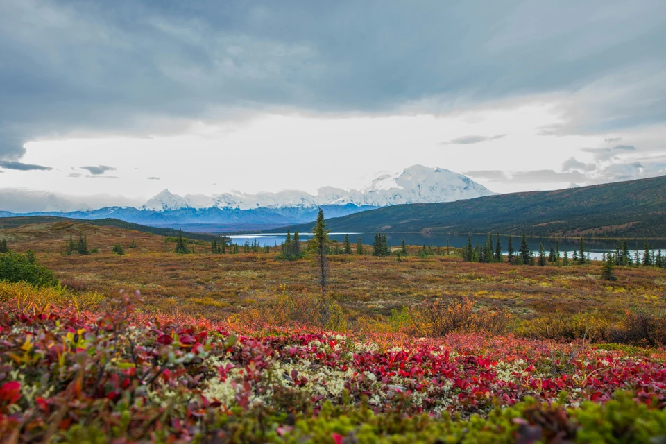 Alaskan-Wilderness Alaskan-Wilderness